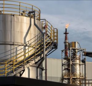 photo_2026-02-13_13-06-34