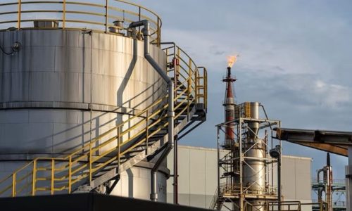 photo_2026-02-13_13-06-34