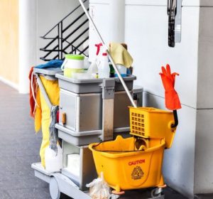 photo_2026-02-13_13-07-24