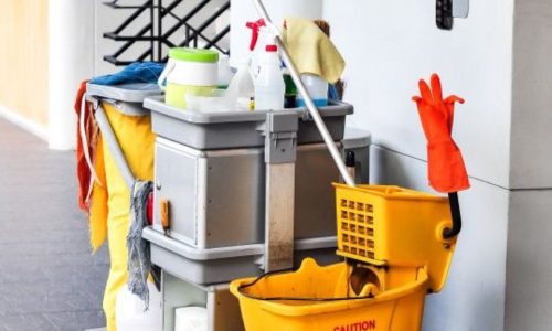 photo_2026-02-13_13-07-24